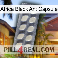 Africa Black Ant Capsule 08